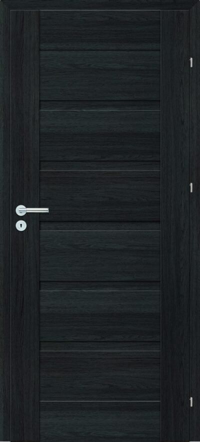 Magnetic modelis 1