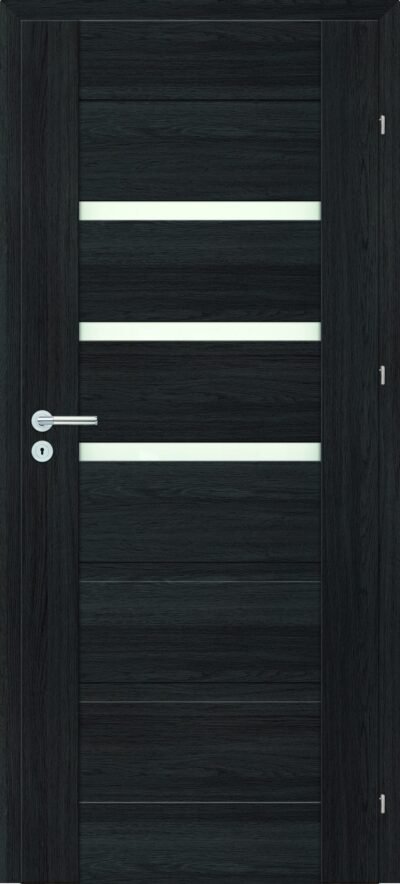 Magnetic modelis 5